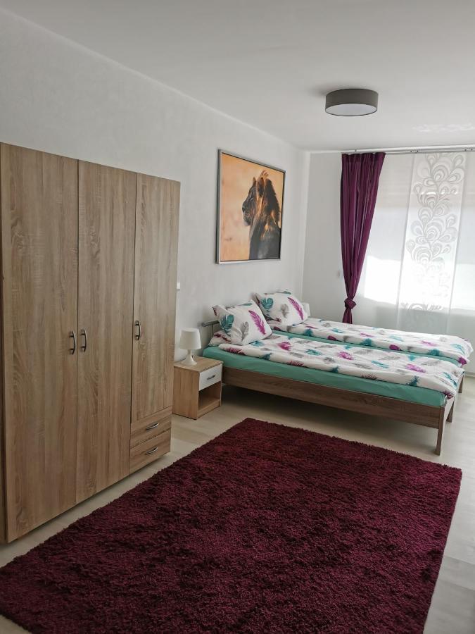 La Casa Suciu Apartment