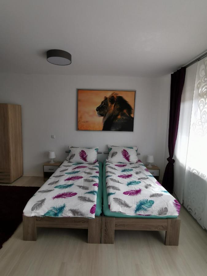 La Casa Suciu Apartment