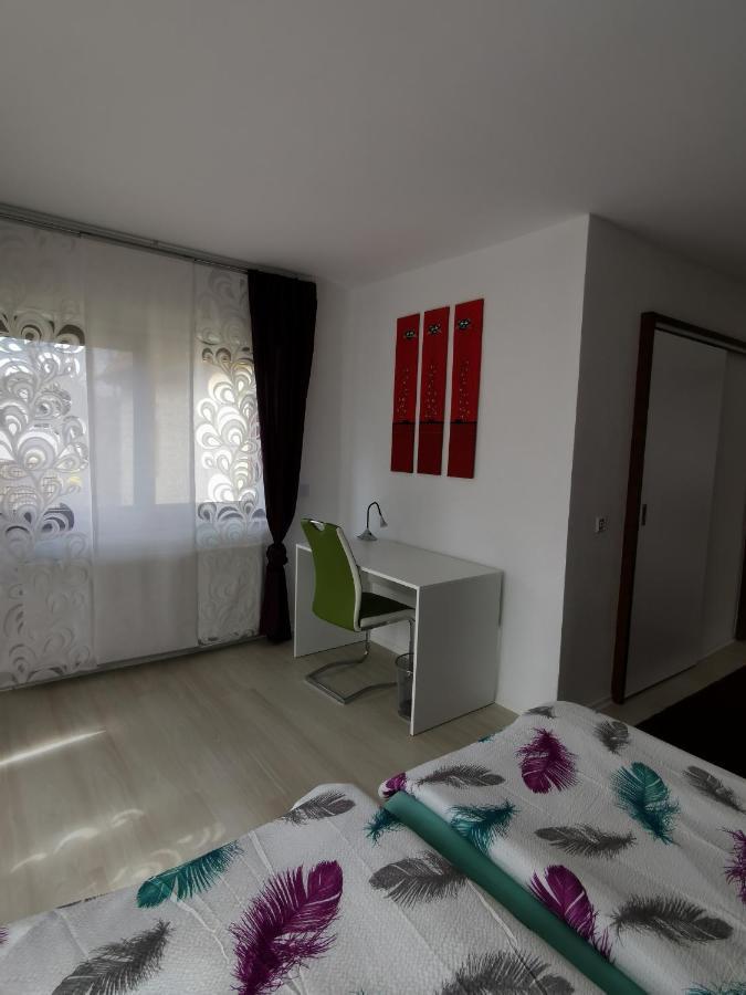 La Casa Suciu Apartment