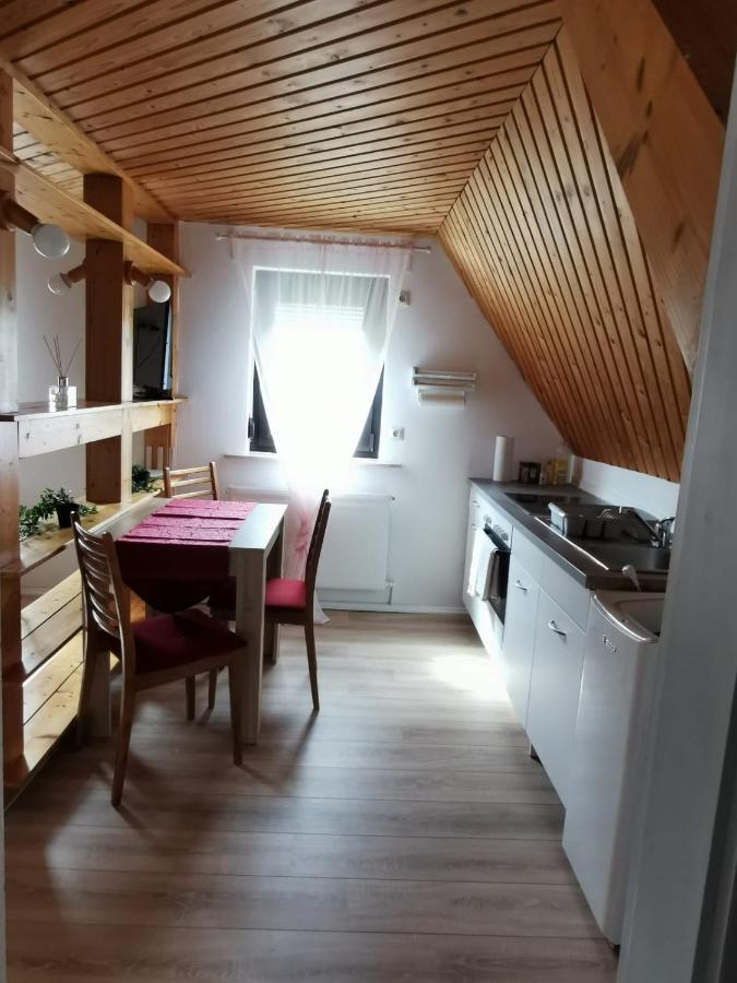 La Casa Suciu Apartment