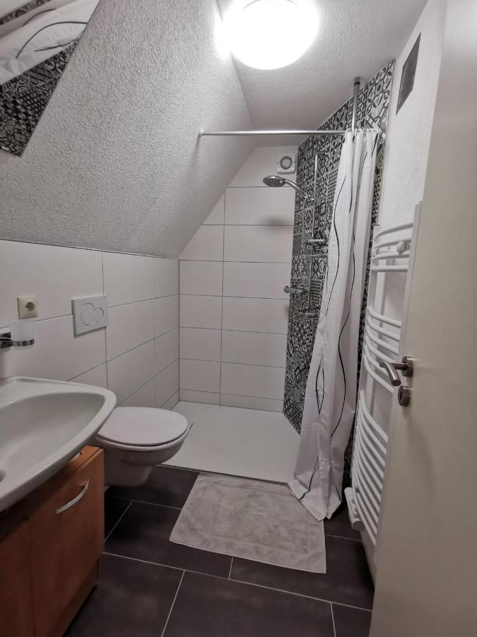 La Casa Suciu Apartment